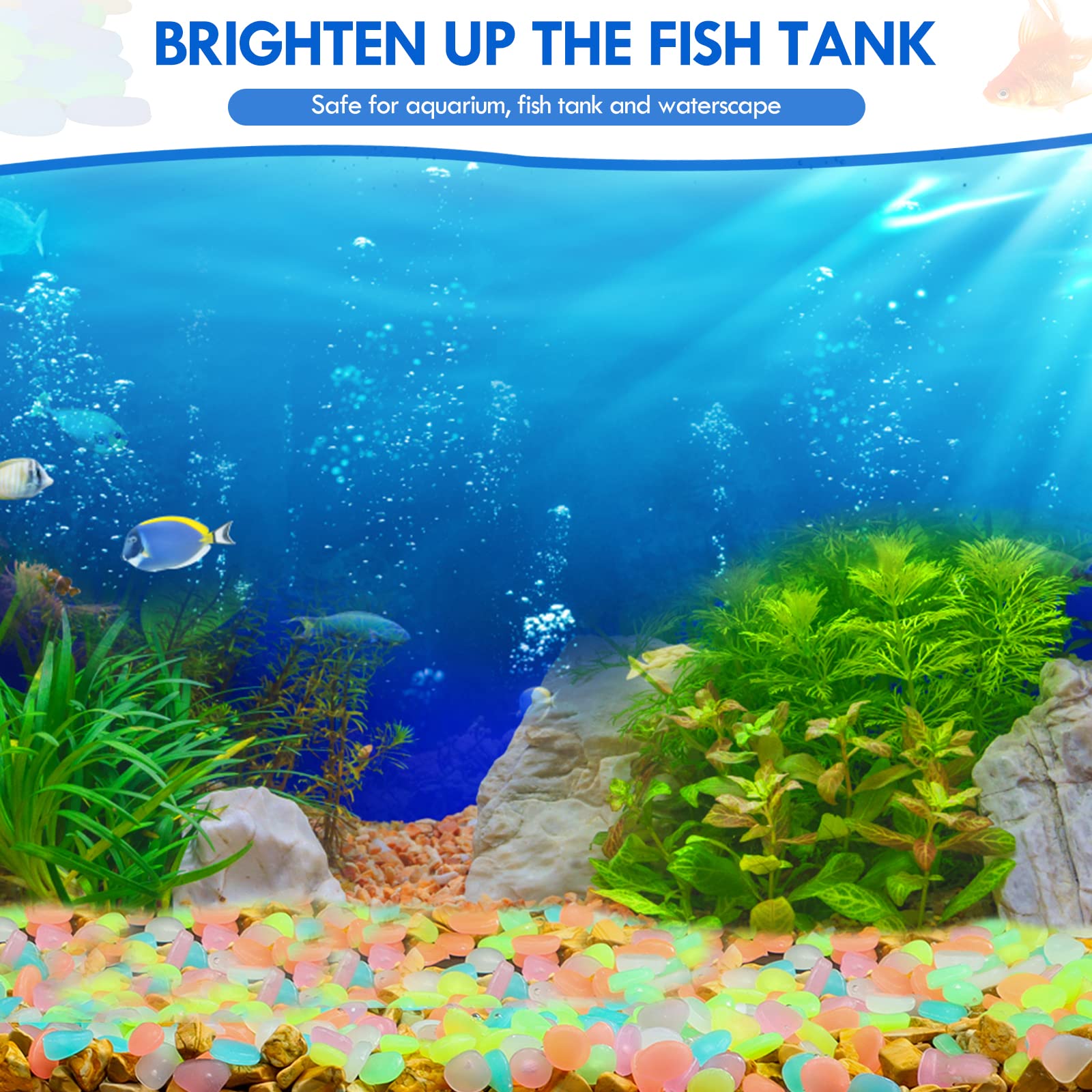 100 pçs brilham no escuro jard - Aquarium Decoration Rock avaliação e preço