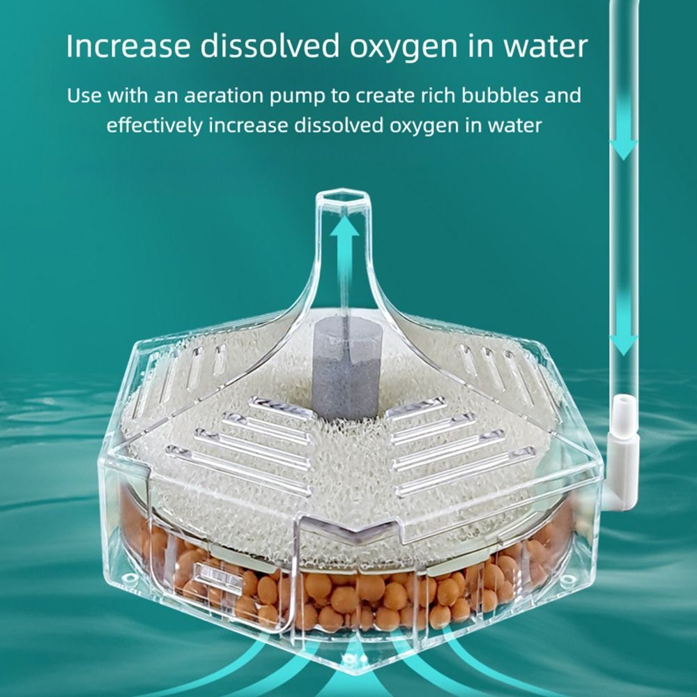 Novo filtro portátil para aquá - Aquarium Fish For Beginners avaliação e preço