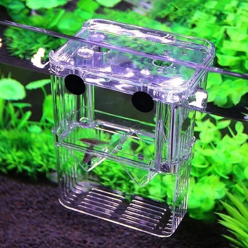Aquário Multifuncional de Alta - Aquarium Fish In Bowl avaliação e preço