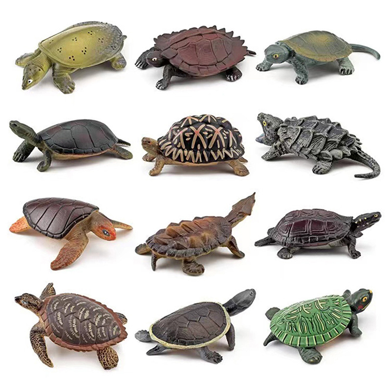Tartaruga realista figura de a - Aquarium Fish For Beginners avaliação e preço