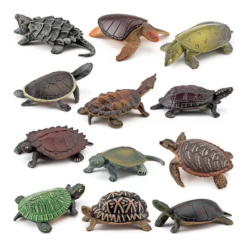 Tartaruga realista figura de a - Aquarium Fish For Beginners avaliação e preço