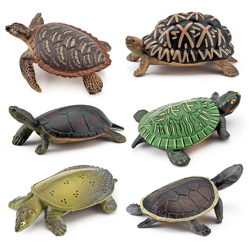 Tartaruga realista figura de a - Aquarium Fish For Beginners avaliação e preço