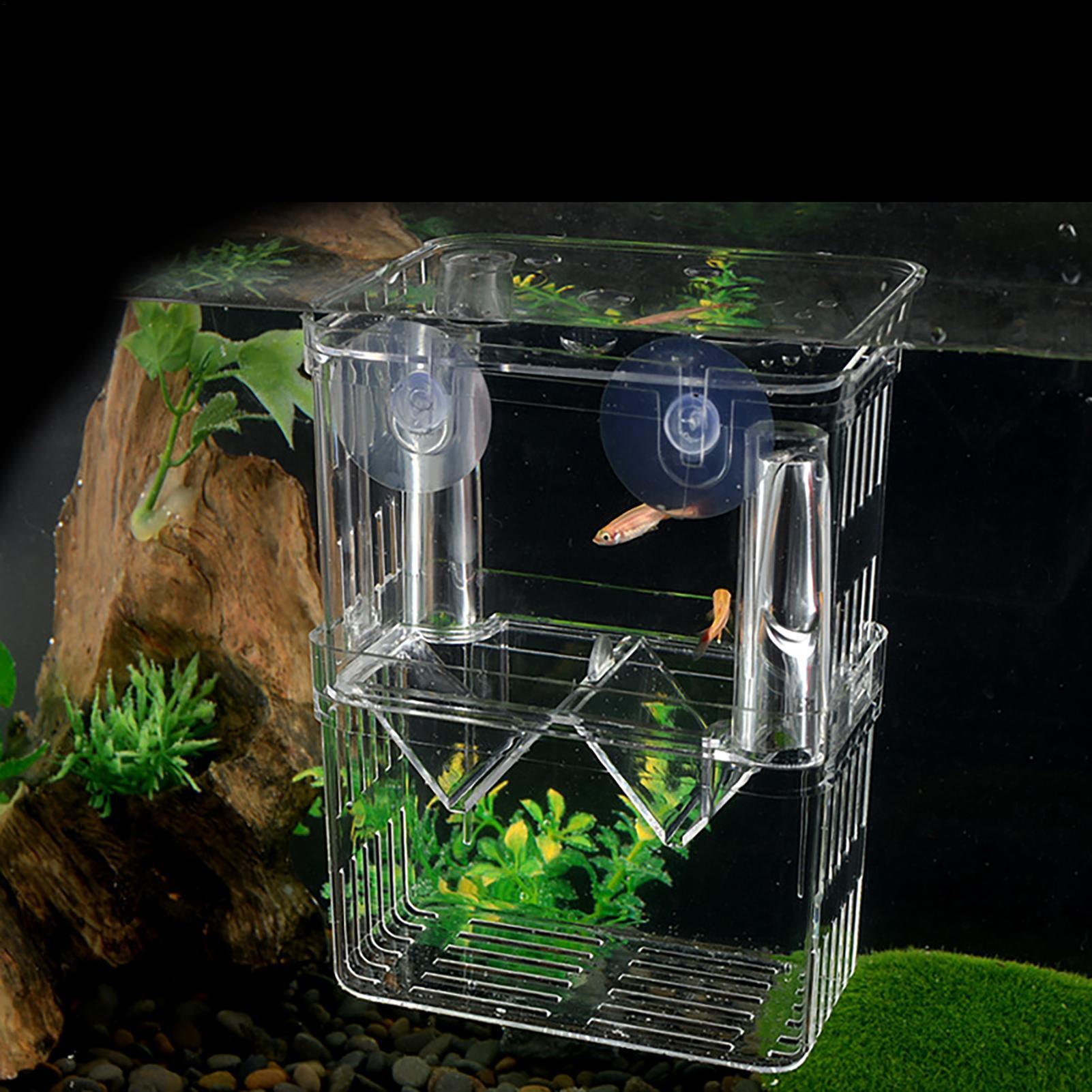 Caixa de Criação para Aquário, - Aquarium Fish In Bowl avaliação e preço
