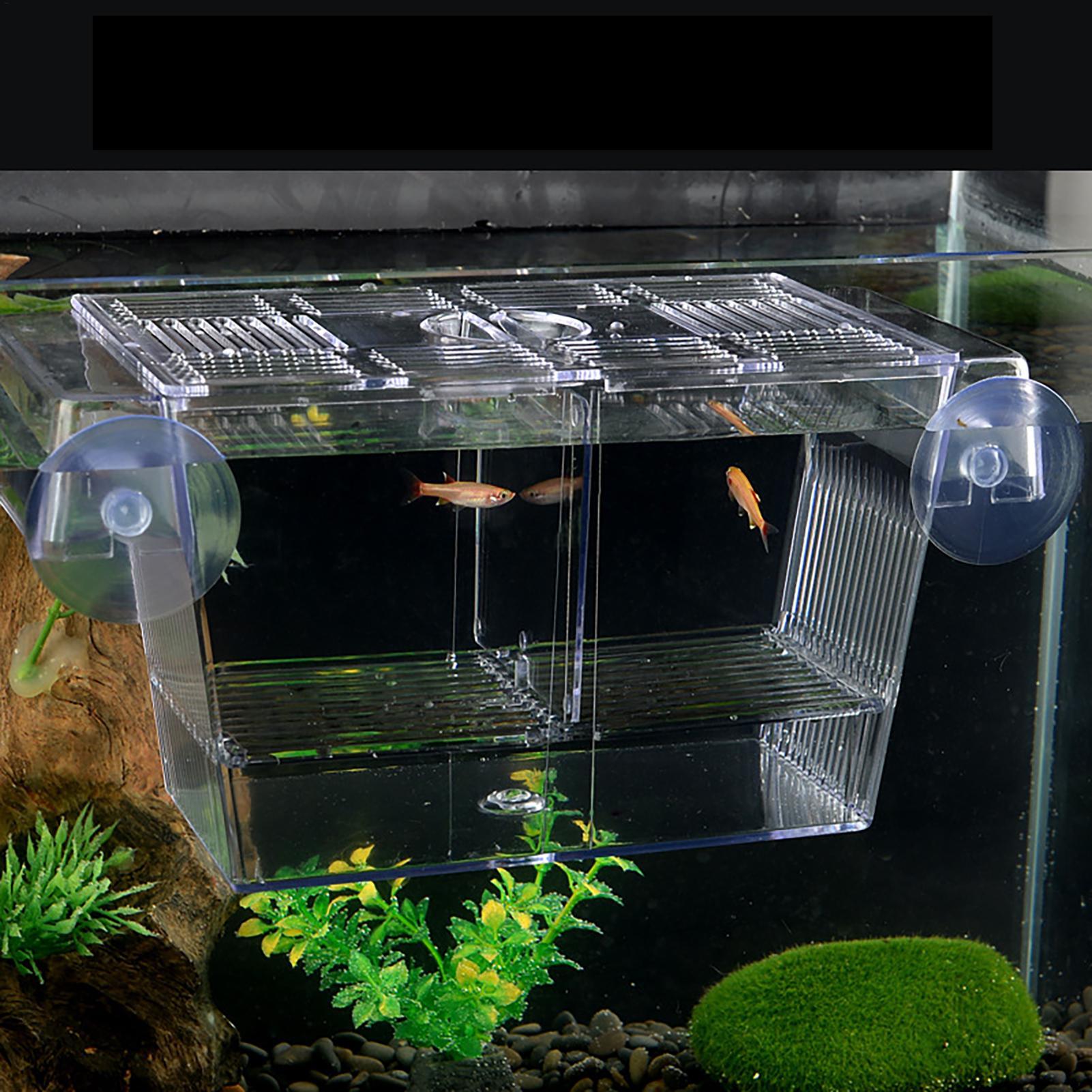 Caixa de Criação para Aquário, - Aquarium Fish In Bowl avaliação e preço