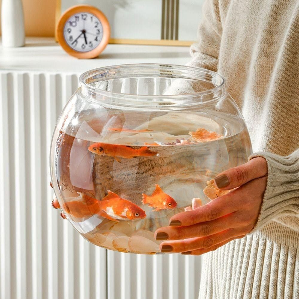 Novo tanque de peixes transpar - Aquarium Fish For Beginners avaliação e preço