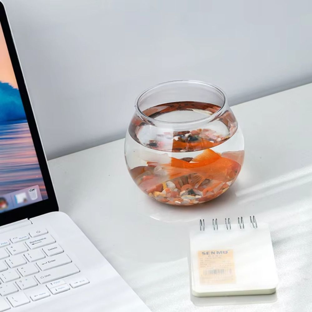 Novo tanque de peixes transpar - Aquarium Fish For Beginners avaliação e preço