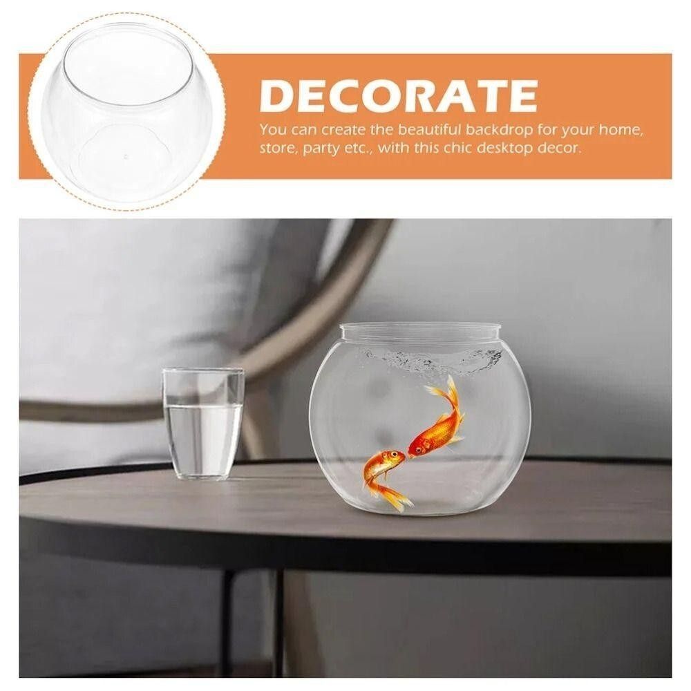 Novo tanque de peixes transpar - Aquarium Fish For Beginners avaliação e preço