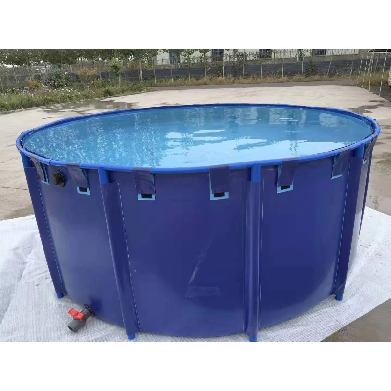 Atacado: Tanque de Peixes de P - Aquarium Fish Big Size avaliação e preço