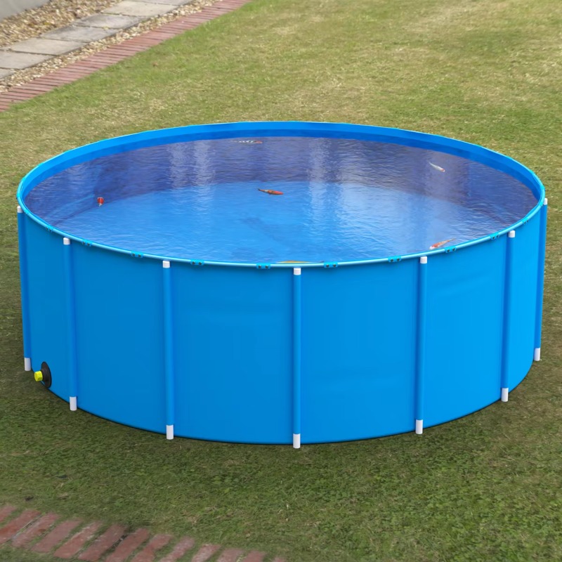 Atacado: Tanque de Peixes de P - Aquarium Fish Big Size avaliação e preço