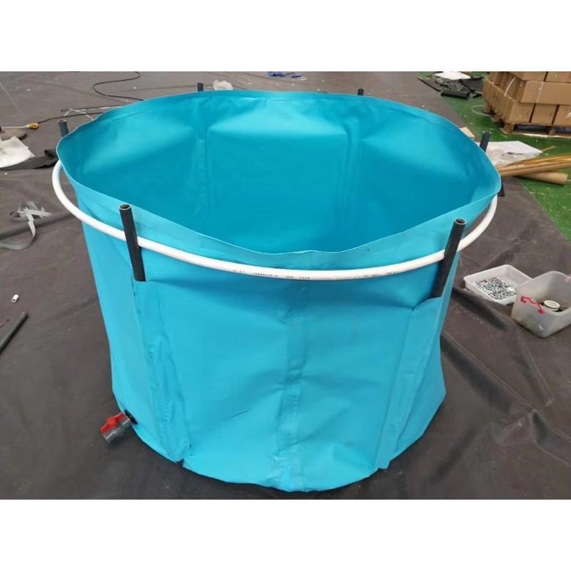 Atacado: Tanque de Peixes de P - Aquarium Fish Big Size avaliação e preço