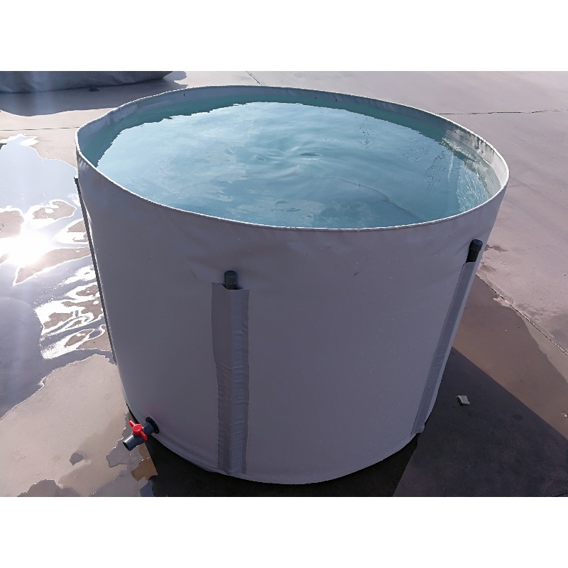 Atacado: Tanque de Peixes de P - Aquarium Fish Big Size avaliação e preço