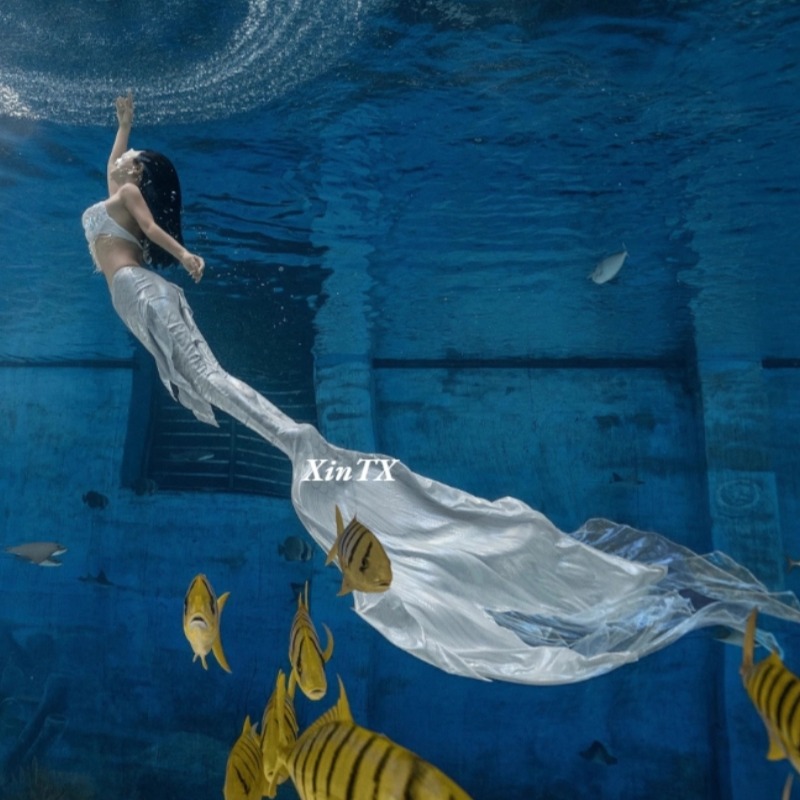 Adulto pai meninas profissiona - Aquarium Fish Big Size avaliação e preço