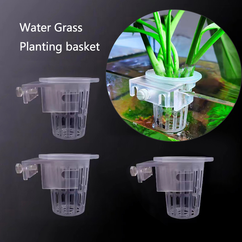 Cesta de plantio de aquário, s - Aquarium Fish For Beginners avaliação e preço