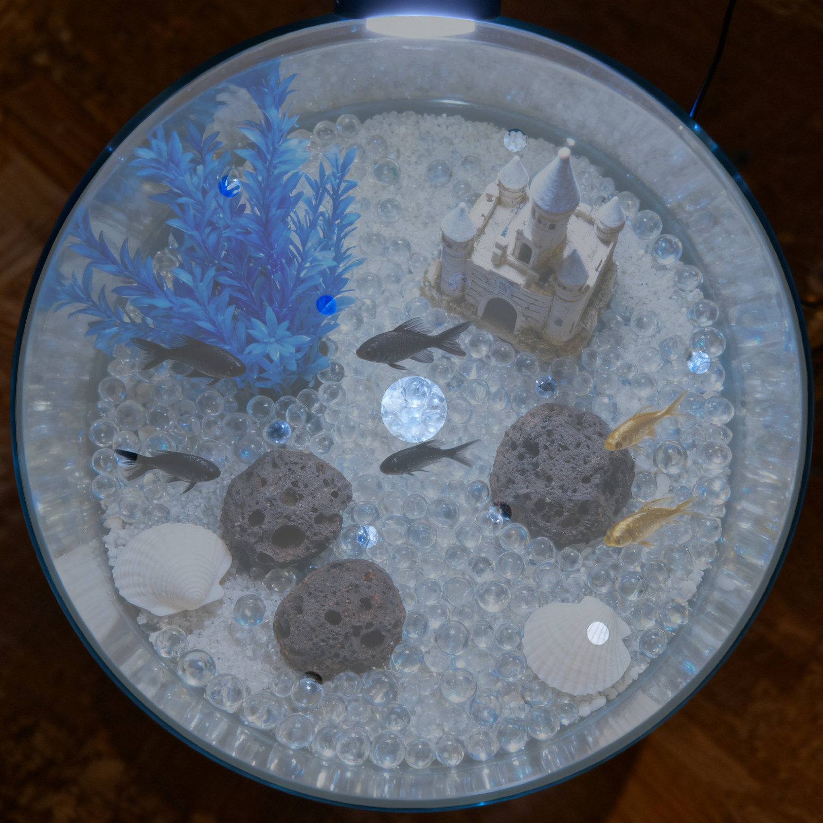 Tampa Redonda de Acrílico de 7 - Aquarium Fish In Bowl avaliação e preço