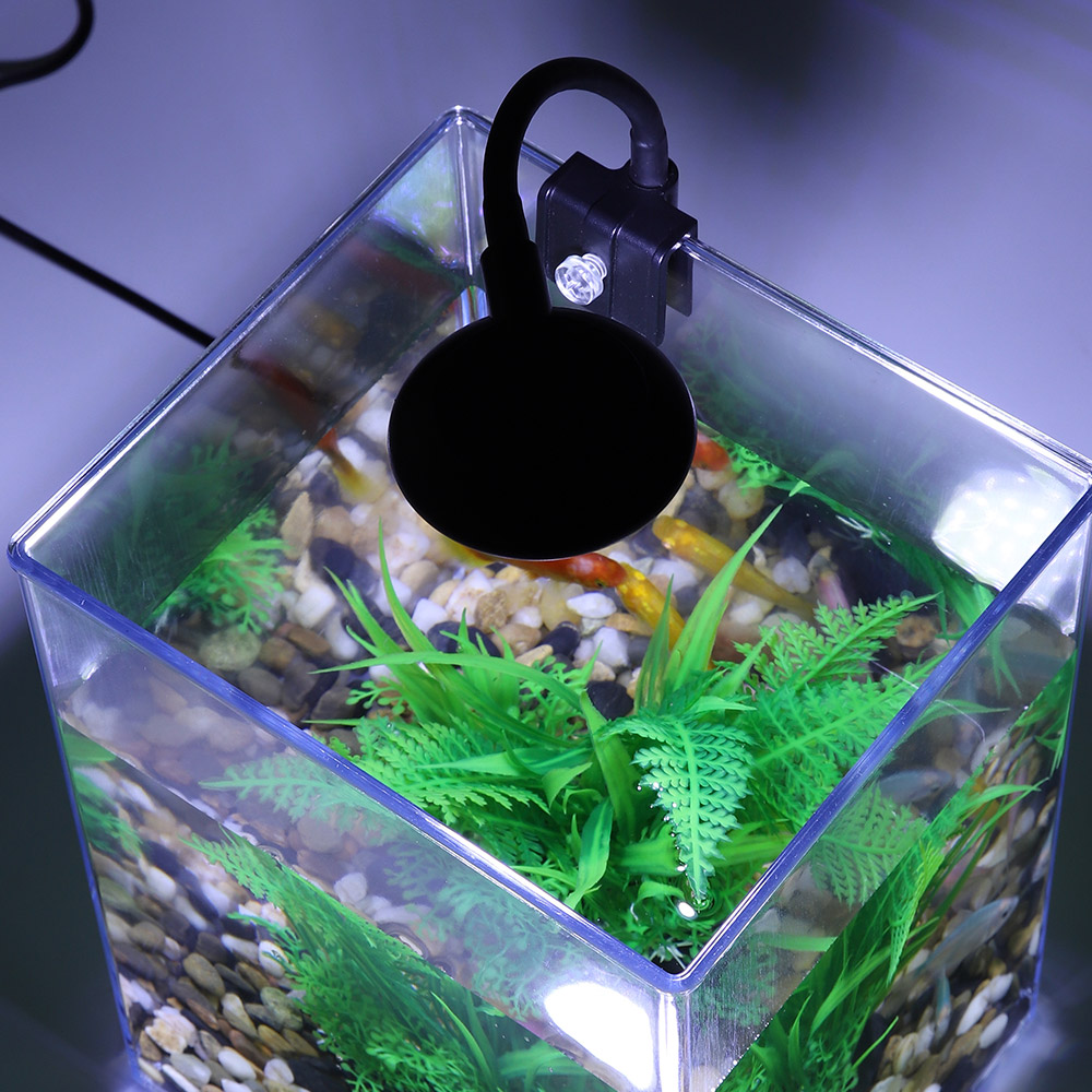 USB Desktop Fish Tank Set para - Aquarium Fish For Beginners avaliação e preço