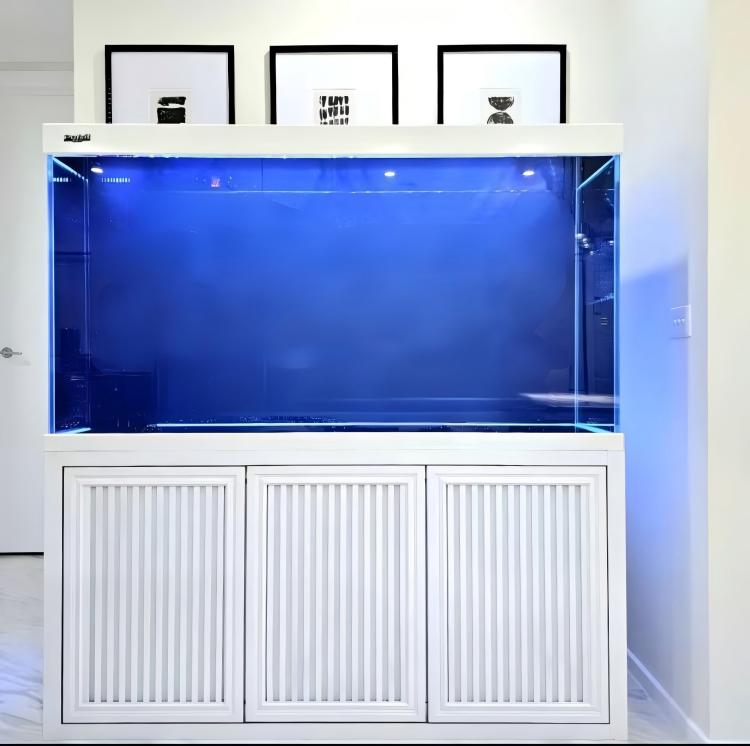 Aquário de Grande Porte: Tanqu - Aquarium Fish Big Size avaliação e preço